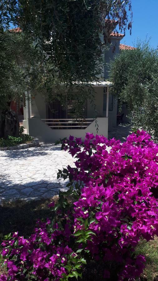 Sivota Apartments Parthenia Экстерьер фото